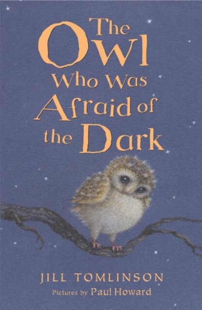 The Owl Who Was Afraid Of The Dark