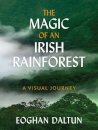 The Magic of an Irish Rainforest
