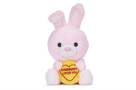 Love Hearts 7" Somebunny Loves You Plush Gift