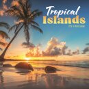 Tropical Islands Square Wall Sunday Star