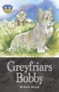 Storyworlds Bridges Stage 12 Greyfriars Bobby (single)