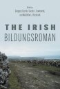 The Irish Bildungsroman