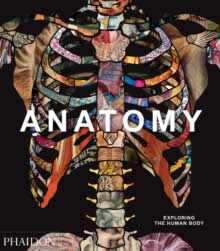 Anatomy: Exploring The Human Body