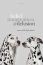 Belief, Imagination, and Delusion
