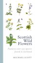 Scottish Wild Flowers