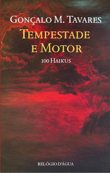Tempestade E Motor