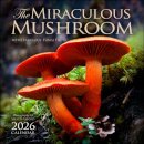 The Miraculous Mushroom 2026 Wall Calendar