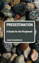 Predestination: A Guide for the Perplexed