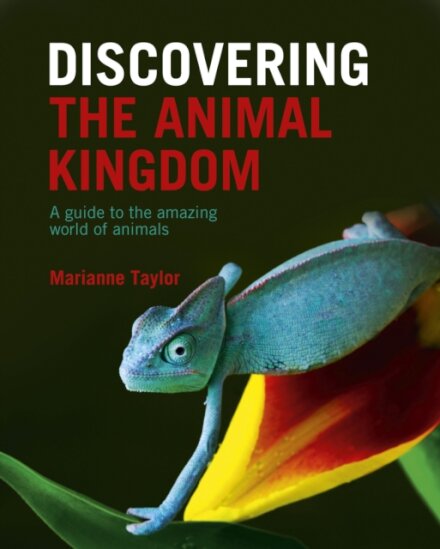 Discovering The Animal Kingdom