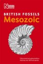 British Mesozoic Fossils