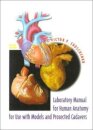 Laboratory Manual for Human Anatomy with Cadavers