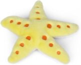 Starfish