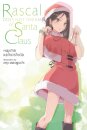 Rascal Does Not Dream of Santa Claus (light novel)