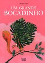 Um grande bocadinho