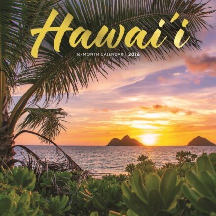 Hawaii Square Wall Sunday Start Calendar