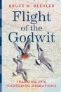 Flight of the Godwit
