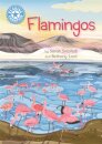 Reading Champion: Flamingos