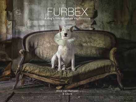 Furbex : A Dog’s Life of Urban Exploration