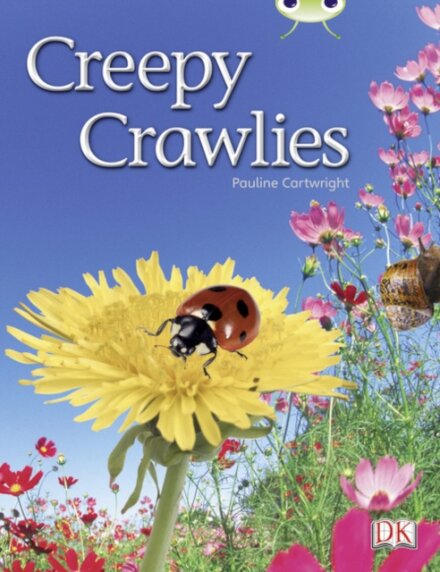 Bug Club Independent Non Fiction Year 1 Green B Creepy Crawlies