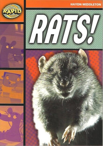 Rats