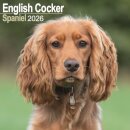 English Cocker Spaniel Calendar 2026  Square Dog Breed Wall Calendar - 16 Month