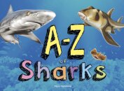 A–Z of Sharks