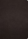 ESV Study Bible, Large Print