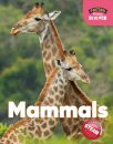 Foxton Primary Science: Mammals (Key Stage 1 Science)