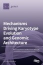 Mechanisms Driving Karyotype Evolution and Genomic Architecture