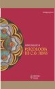 Introdução À Psicologia De C.G. Jung
