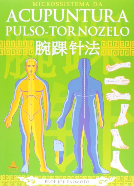 Microssistema Da Acupuntura Pulso-Tornozelo