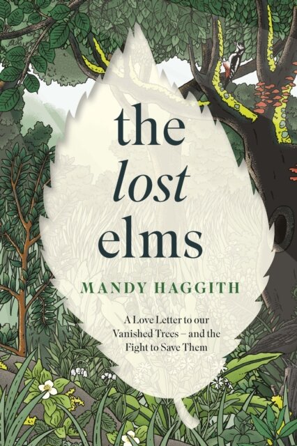 The Lost Elms: A Love Letter to Our Vanished Trees – and the Fight to Save Them