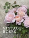 Vintage Roses