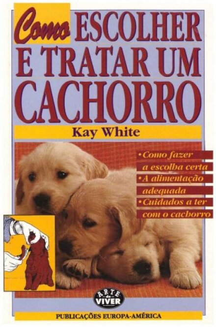 Como Escolher E Tratar Um Cachorro