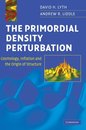 The Primordial Density Perturbation