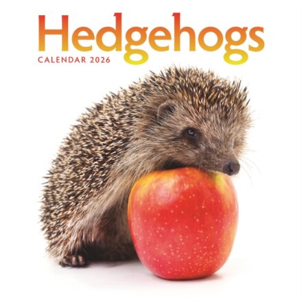Hedgehogs Square Wall Calendar 2026