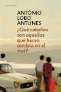 ¿Qué caballos son aquellos que hacen sombra en el mar?