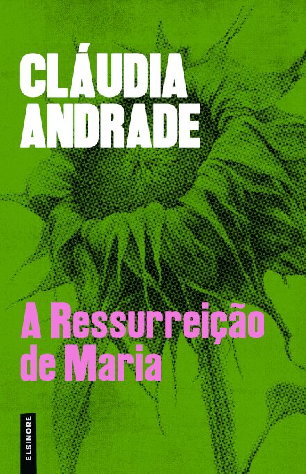 A Ressurreição de Maria