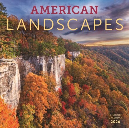 American Landscapes Square Wall Sunday S