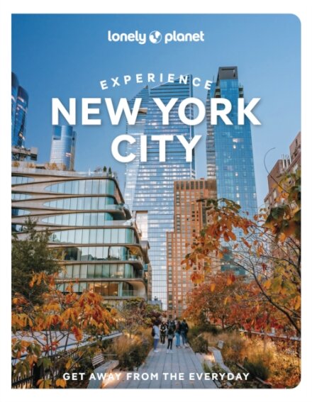 Experience New York City 2
