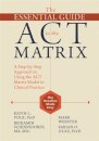 The Essential Guide to the ACT Matrix
