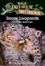 Snow Leopards and Other Wild Cats
