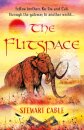 The Flitspace