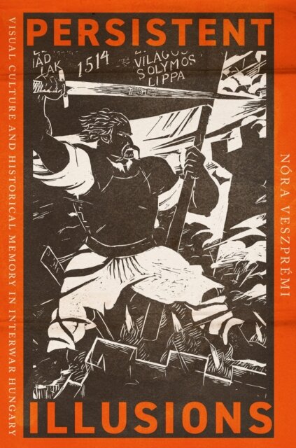 Persistent Illusions