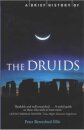 A Brief History of the Druids
