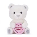 Love Hearts 9" Love You Always Bear Plush Gift