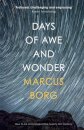 Days of Awe and Wonder