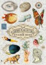 The Curious Collections Sticker Book