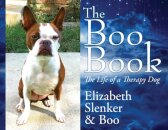 The Boo Book