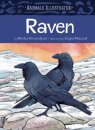 Animals Illustrated: Raven